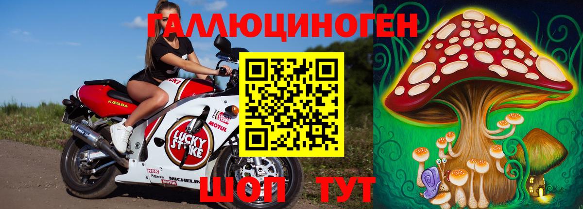 Луга  Галлюциногенные грибы GOLDEN TEACHER  Вход с VPN 